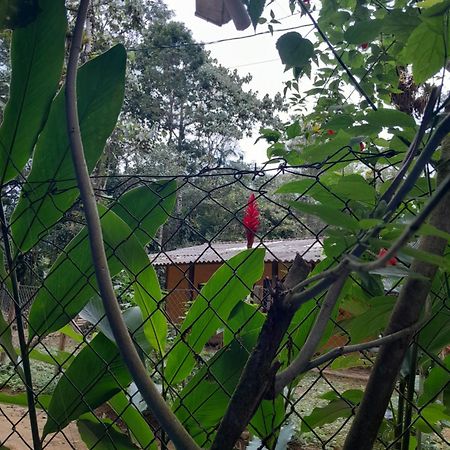 Sitio Das Bromelias Cachoeira Do Tombador Ubatuba Ngoại thất bức ảnh