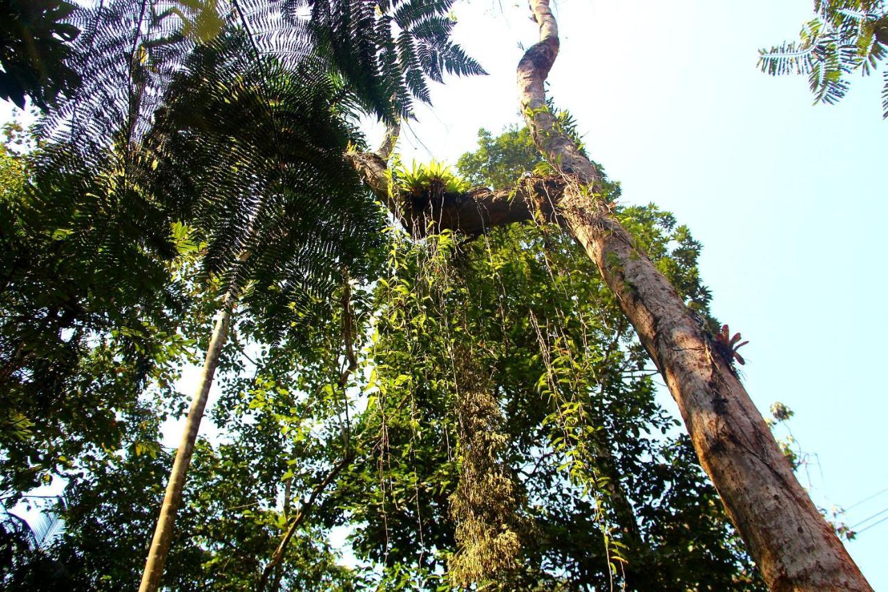 Sitio Das Bromelias Cachoeira Do Tombador Ubatuba Ngoại thất bức ảnh